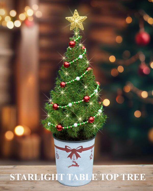 Holiday Greenery - Image 3